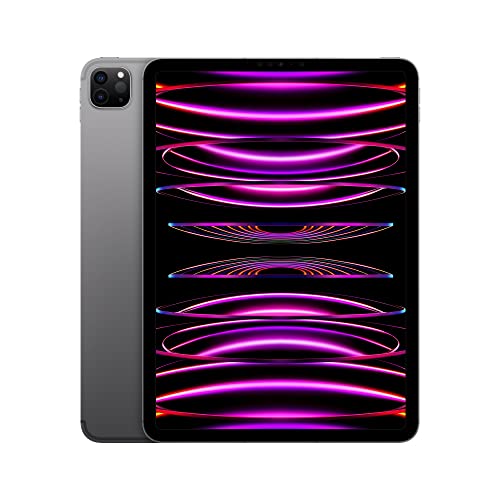 Apple 2022 11" iPad Pro (Wi-Fi + Cellular, 128 GB) - Space Grau (4. Generation)-1