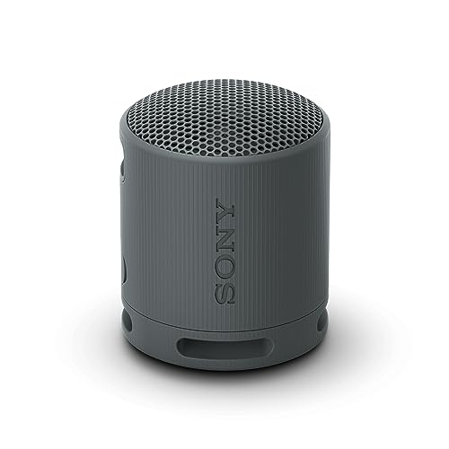 Sony SRS-XB100 - Kabelloser Bluetooth-Lautsprecher, tragbar, leicht, kompakt, Outdoor, Reise, langlebig, IP67 wasser- und staubdicht, 16 Std Akku, Trageriemen, Freisprechfunktion, schwarz-1